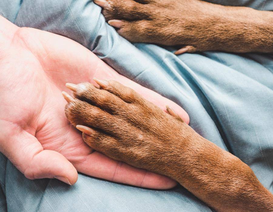 Die Entscheidung …