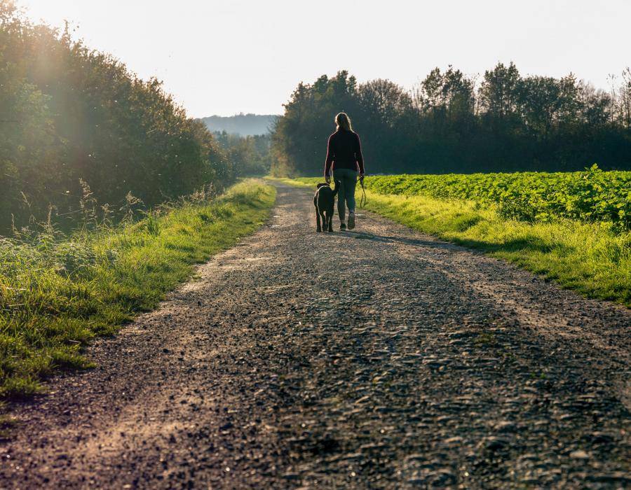 Das Hier und Jetzt …